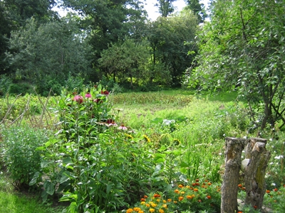 Odling trädgård MINDRE